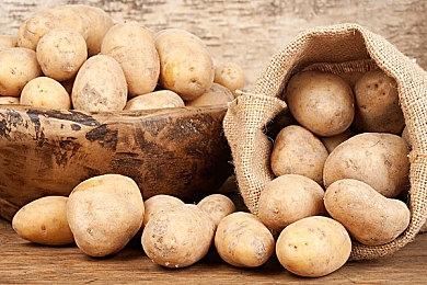 《SUNSOFT is Back》登陆Switch＆PC 80年代经典三部游戏合集